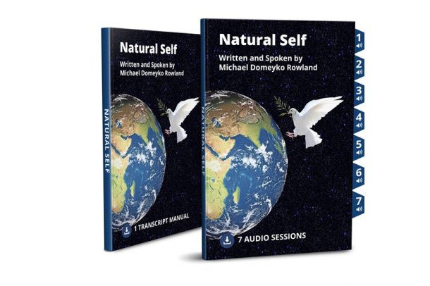 Natural Self - Success Love Freedom