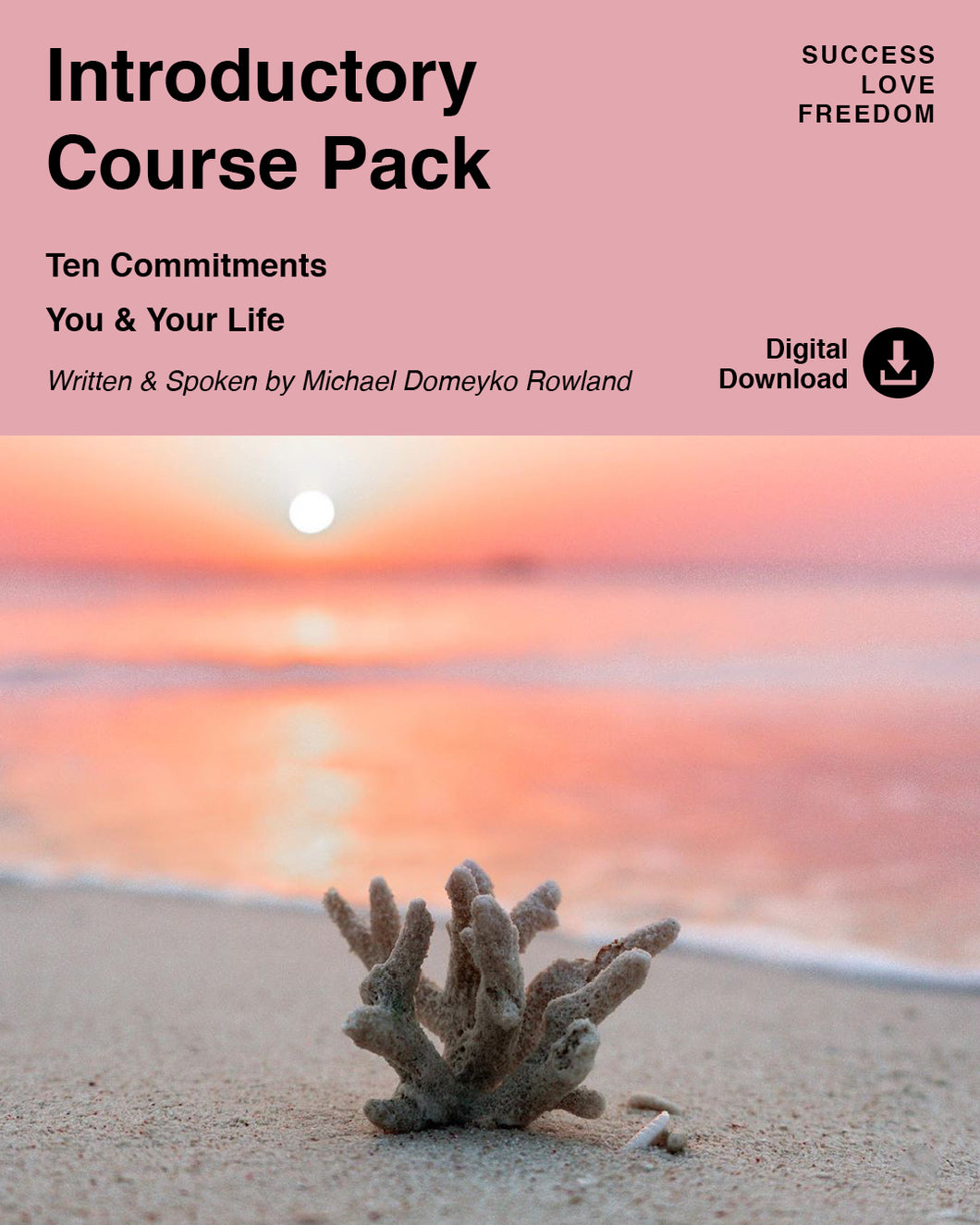 Introductory Course Pack - Success Love Freedom